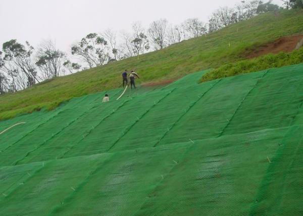 ���Sֲ���Wʩ��